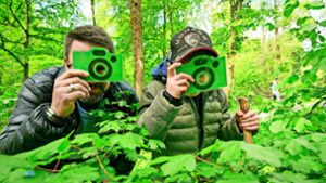 Waldbaden in Ludwigsburg: Eine grüne Auszeit für Vater und Kind