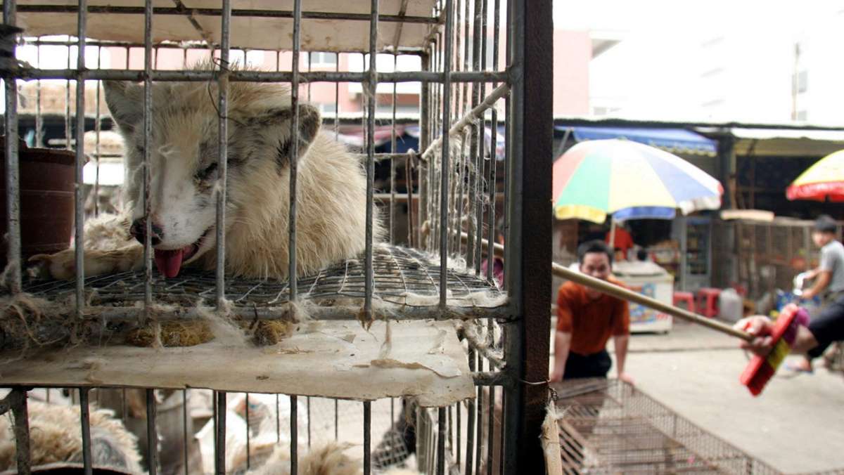 Welt-Zoonose-Tag: Wildtiermärkte in Asien –  Brutstätten für Krankheiten