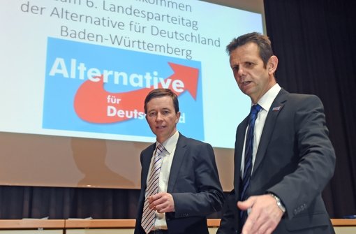Landesparteitag der AfD: Lügenvorwürfe und Spießrutenlauf - Stuttgarter Zeitung