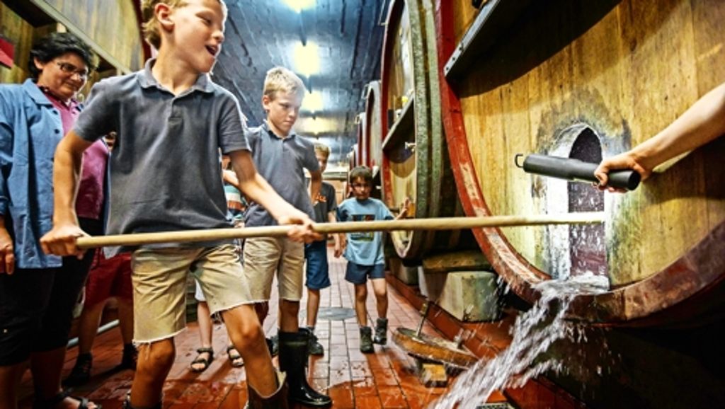 Remstalkellerei Weinstadt: „Kinderarbeit“ im hölzernen Weinfass