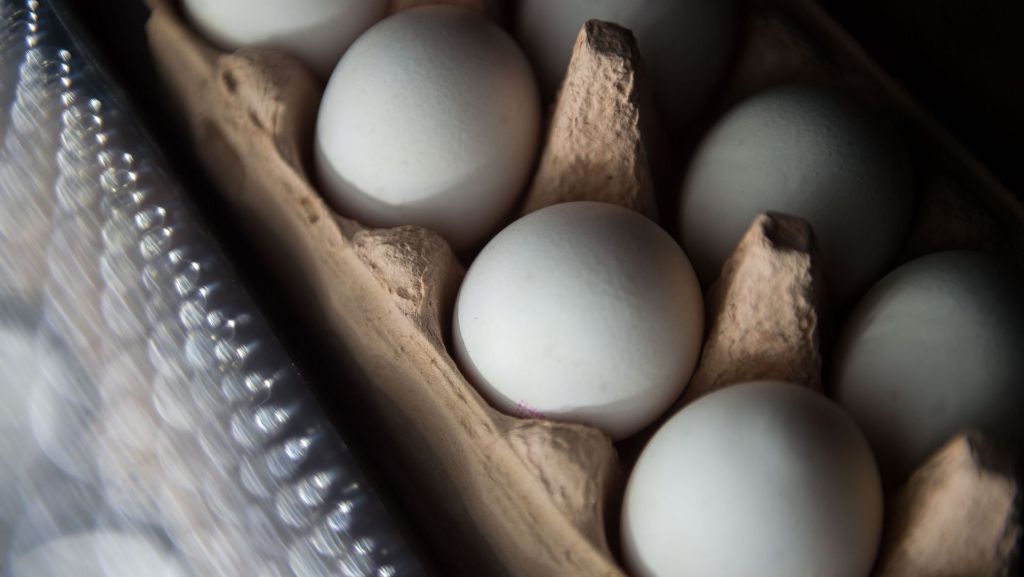 Der Eier-Skandal weitet sich aus: Wie gefährlich sind die Eier?