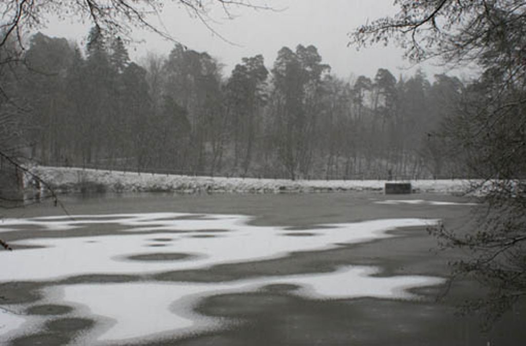 Winterliche Aufnahmen aus dem Dezember 2012.