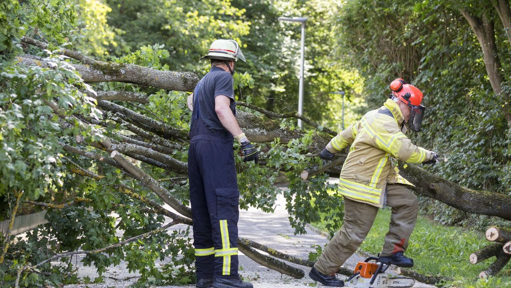 Nürtingen: Baum  stürzt auf Radweg