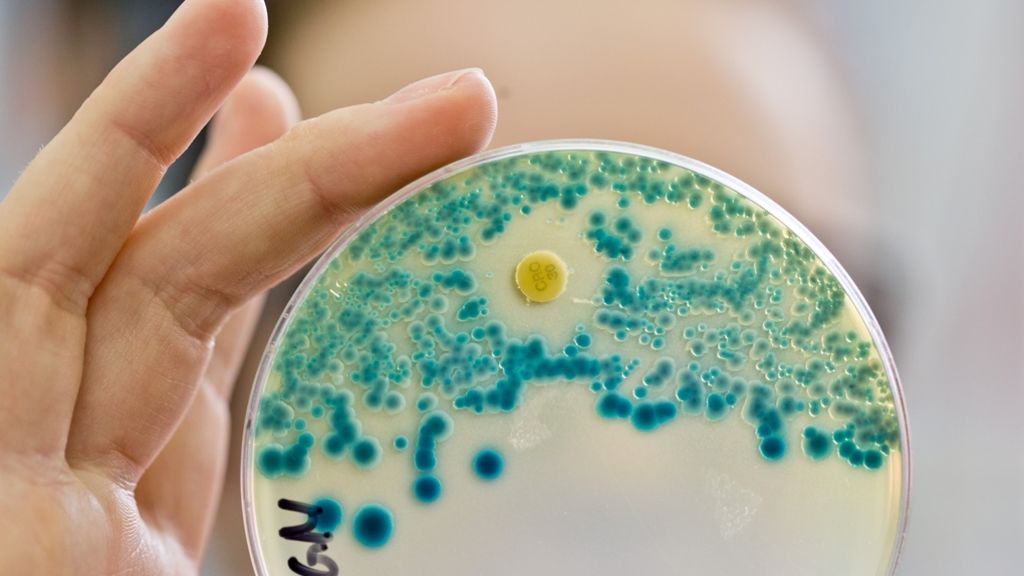 US-Forscher: Resistente Bakterien auf dem Vormarsch