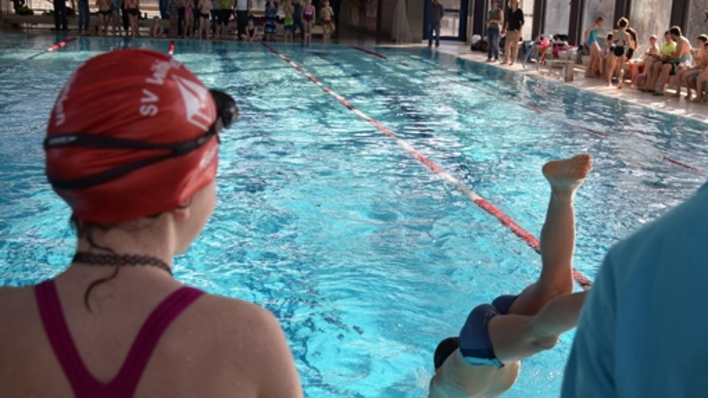 Schwimmcup in Stuttgart-Vaihingen: Die Österfeldschule siegt zum fünften Mal in Folge