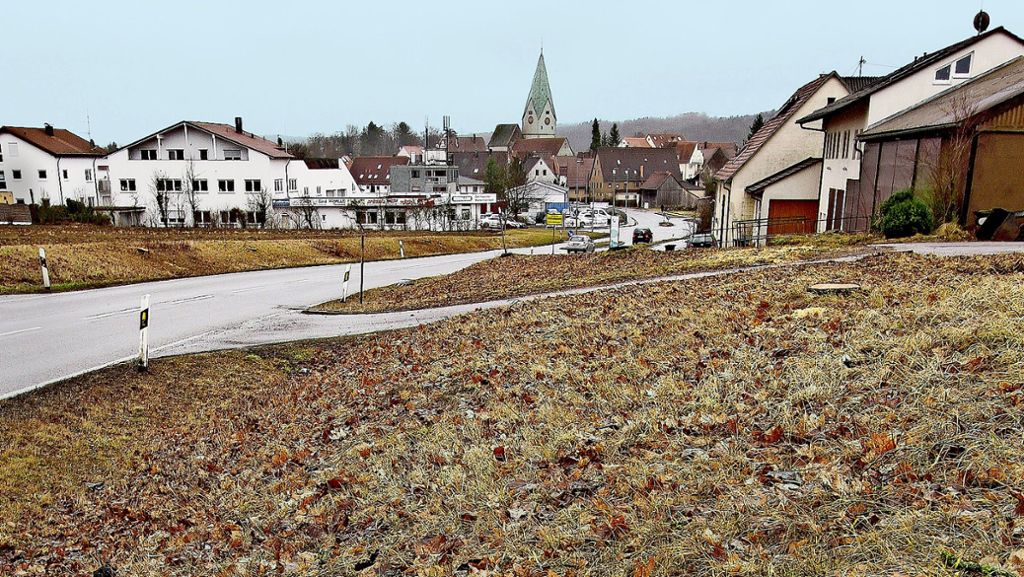 Fällaktion wegen Laubholzbock in Hildrizhausen: Die Motorsägen sind verstummt