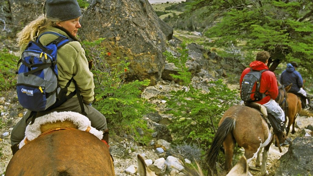 Biologie: Die bequemen Pferde der Wikinger