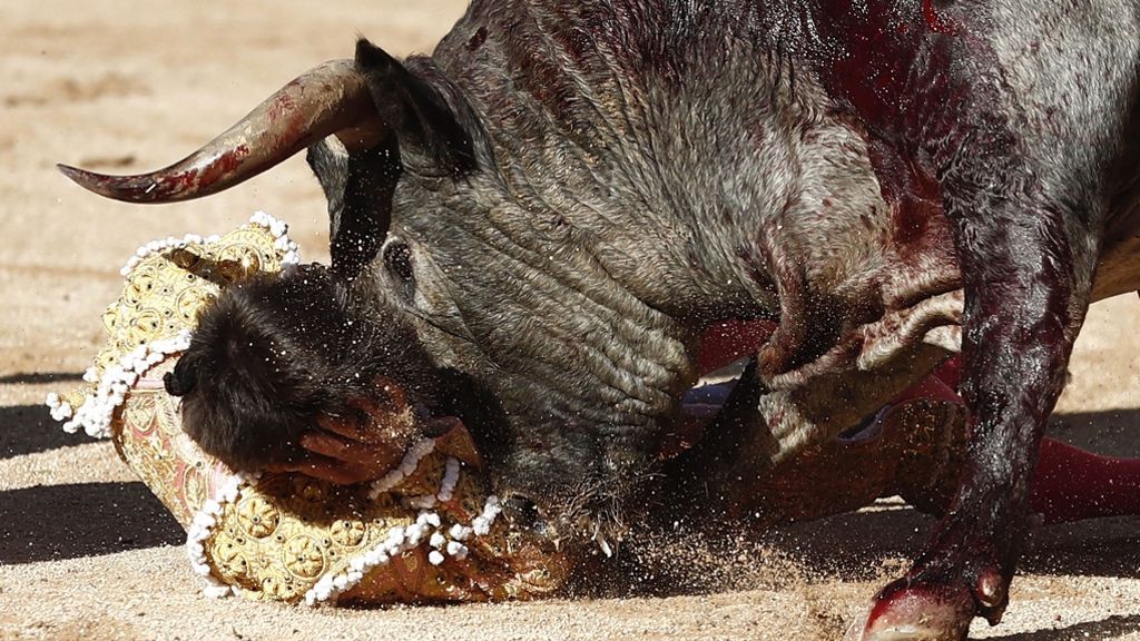 Stierkampf in Spanien: Torero bei Stierkampf in Spanien getötet
