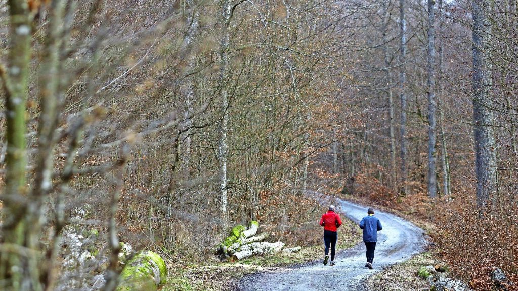 Standortsuche im Kreis Böblingen: Niemand will Wald für eine Deponie opfern