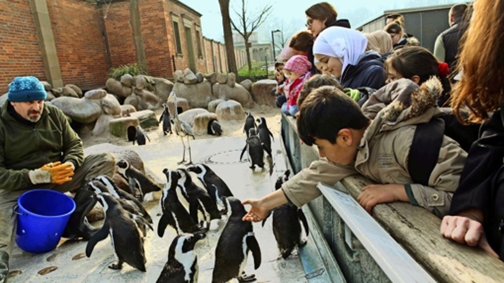 Ausflug in die Wilhelma: Flüchtlingskinder besuchen Pinguine und Seelöwen