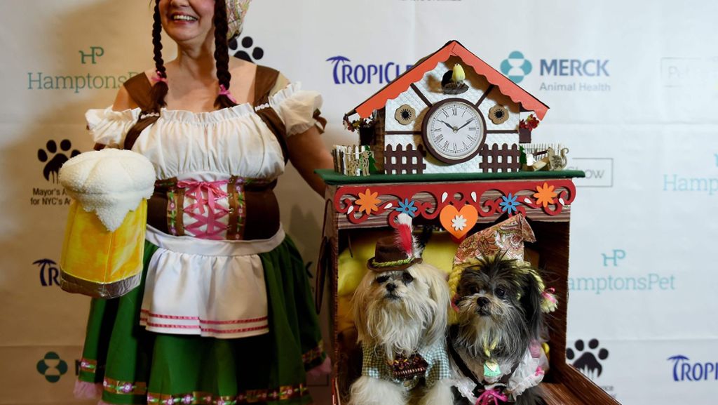 New York Pet Fashion Show: So bizarr verkleiden Amerikaner ihre Hunde