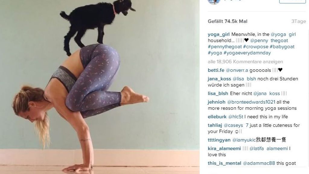 Yoga Girl Rachel Brathen: Handstand mit Ziege