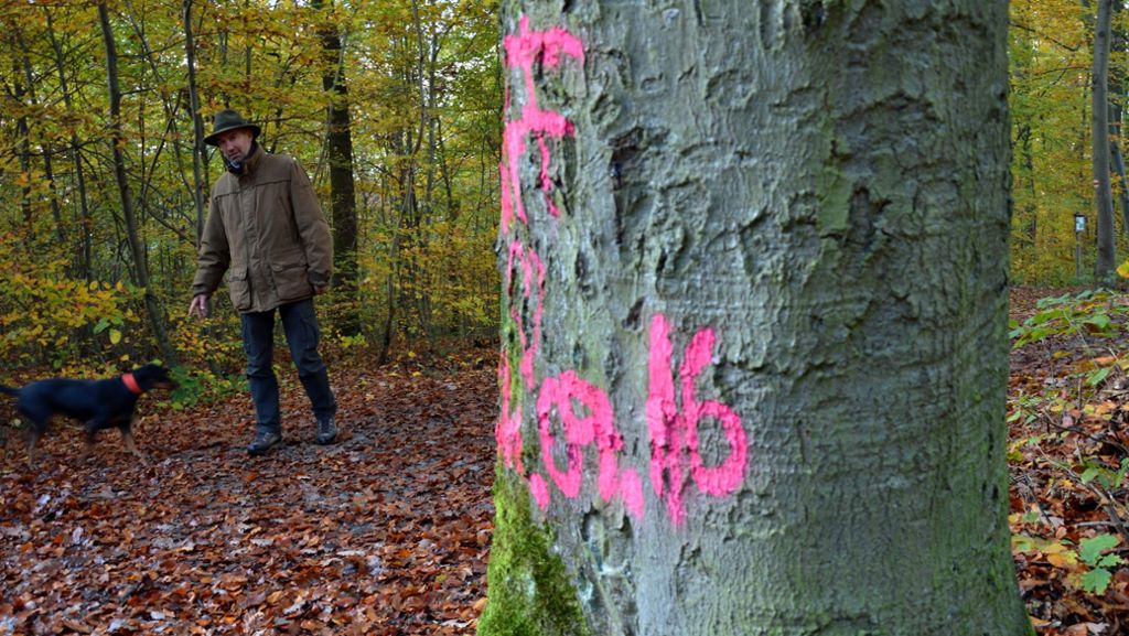 Vandalismus im Fellbacher Wald: Wildkameras sollen Schmutzfinken entlarven