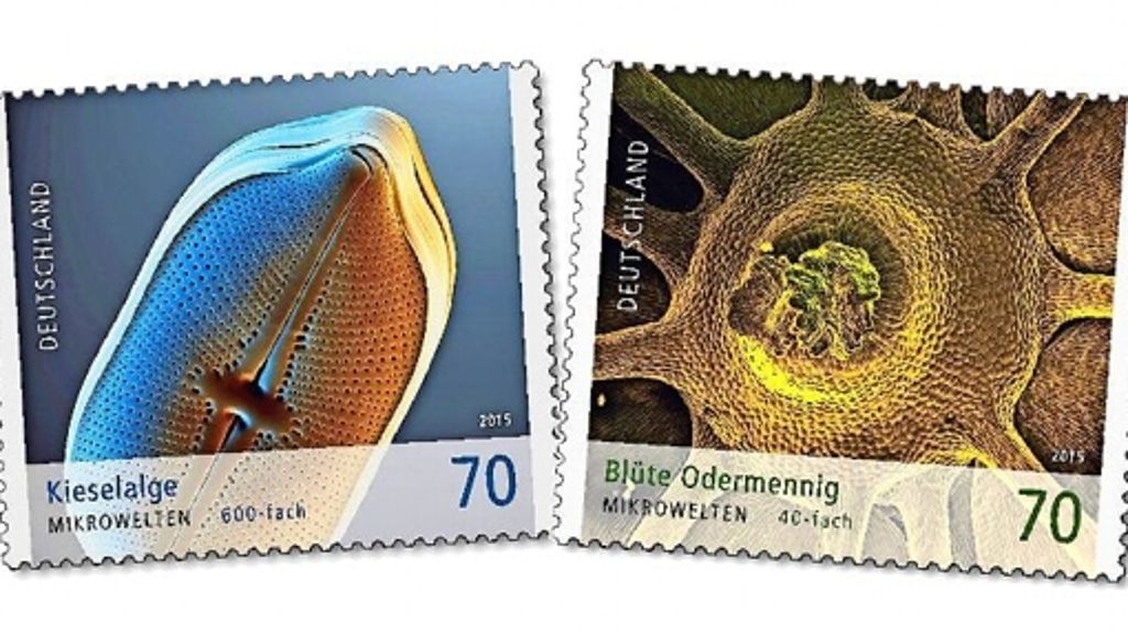 Mikrofotografien aus Weißenstein  auf Briefmarken: Kieselalge und Odermennig mit Zacken