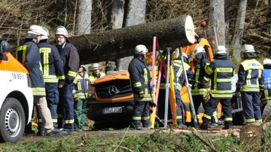 Bilanz nach Niklas: Sturmtief fordert Tote und Verletzte