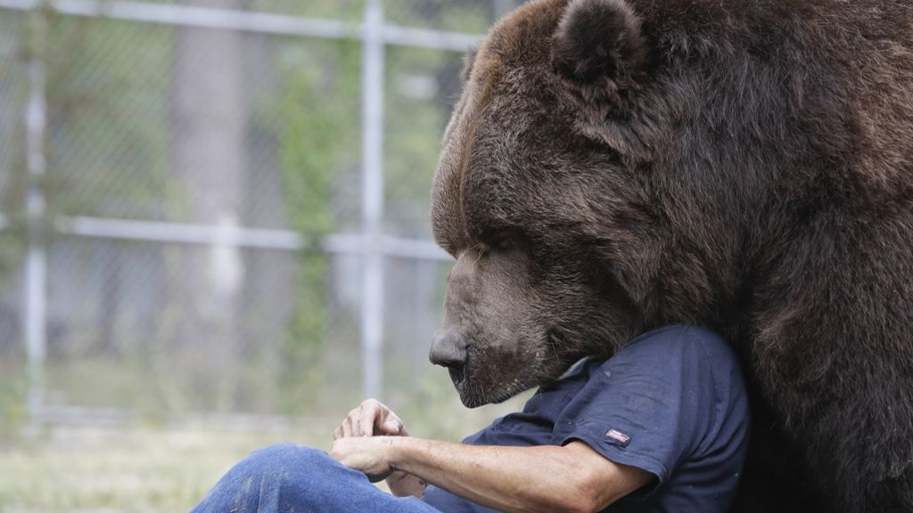 Bitte genau hinschauen!: Bärenliebe