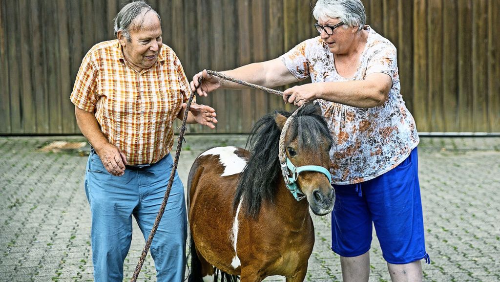 Göppinger Bauernhof ist sein Zuhause: Mehr als 50 Jahre in Pflegefamilie