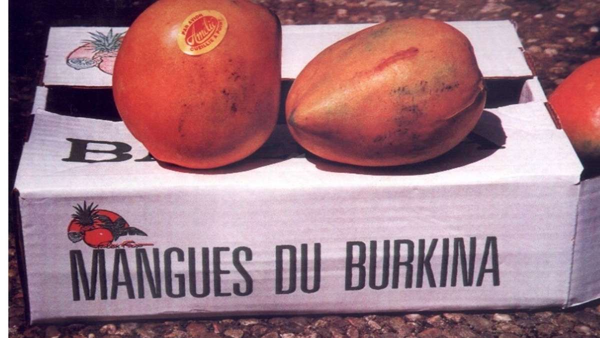 Mangoaktion im Kreis Böblingen: Ab 5. Mai gibt es wieder Mangos aus Burkina Faso