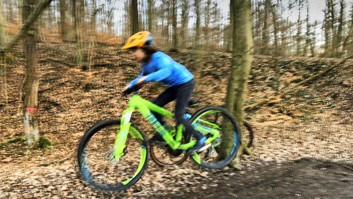 Waldkonzept für Stuttgart: Drei neue und legale Trails für die Mountainbiker