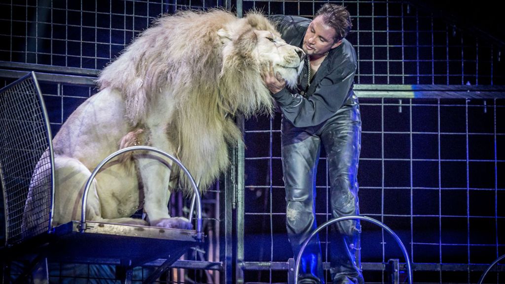 Circus Krone: Zirkus  darf mit Wildtieren in Ulm auftreten