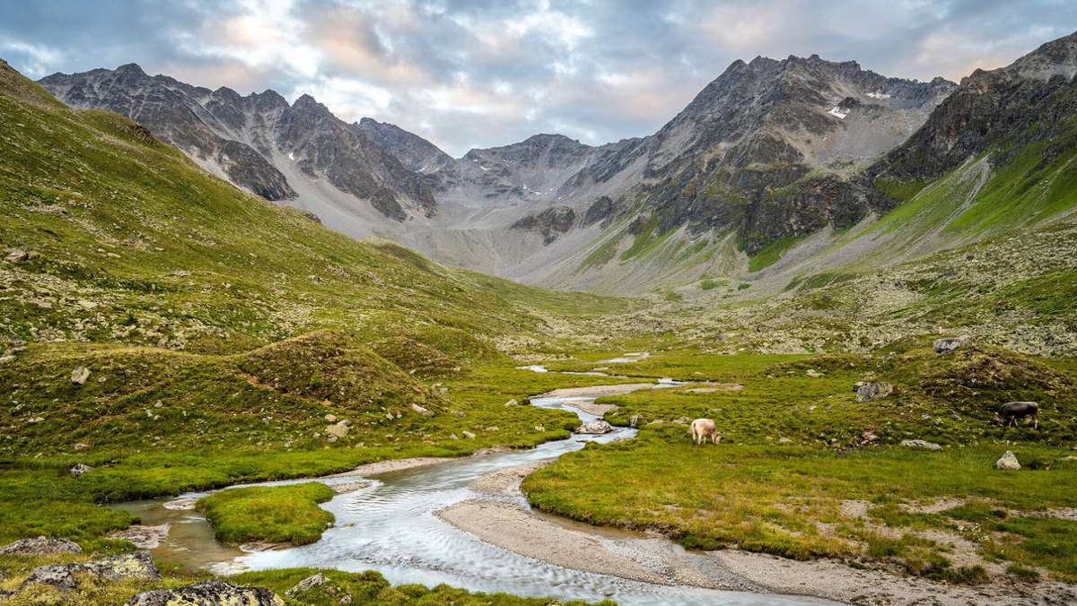 Wasserkraft in Österreich: Kampf ums Wasser: Bürger und Umweltschützer begehren auf