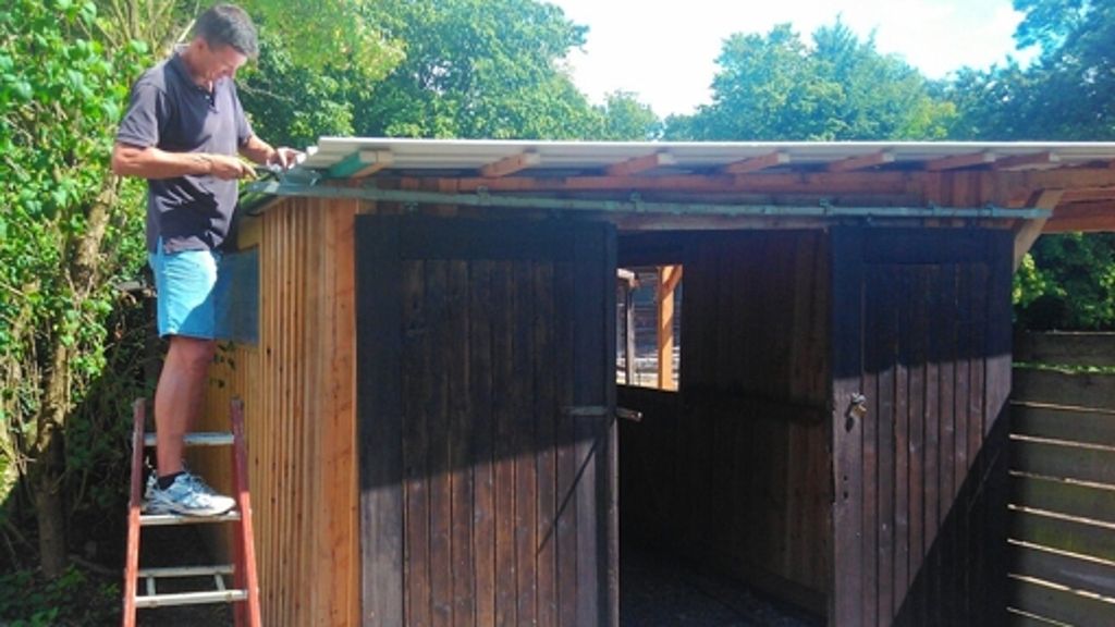 Riedenberger Jugendfarm: Ponys haben  neues Zuhause