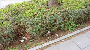 Müll in Stuttgart-Zuffenhausen: Bezirk ist nicht so dreckig wie gedacht