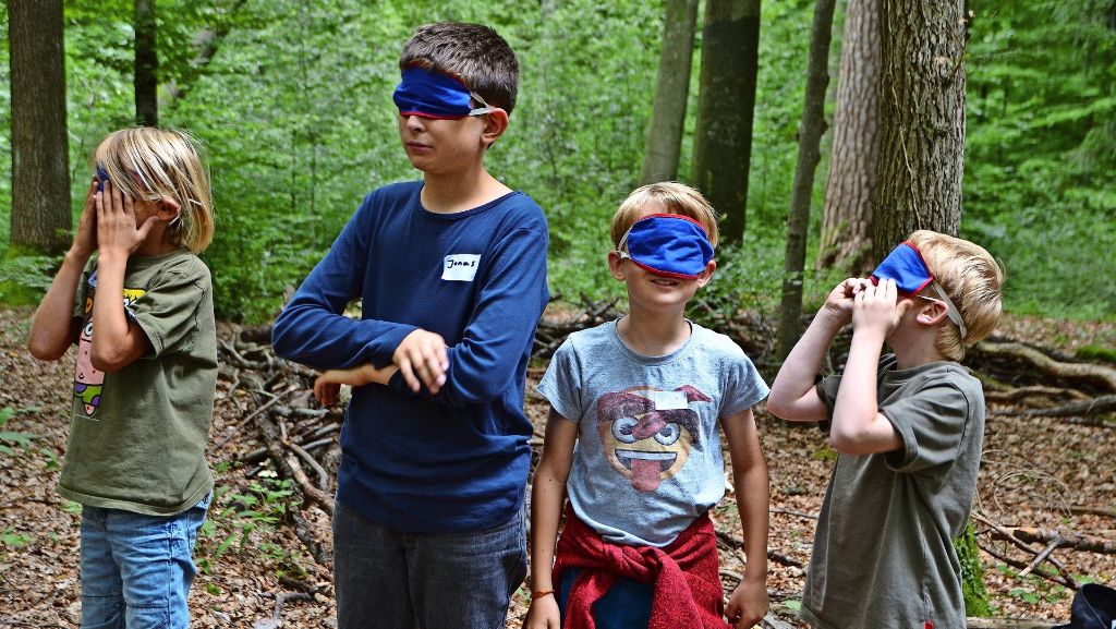 Naturwoche im Waldheim: Kinder erforschen die Natur mit allen Sinnen