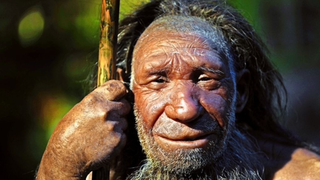 Kinderwissen: Knochen aus dem Neandertal