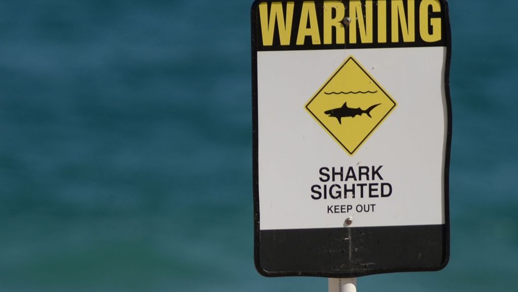 Bitte nicht lesen!: Schlag den Hai
