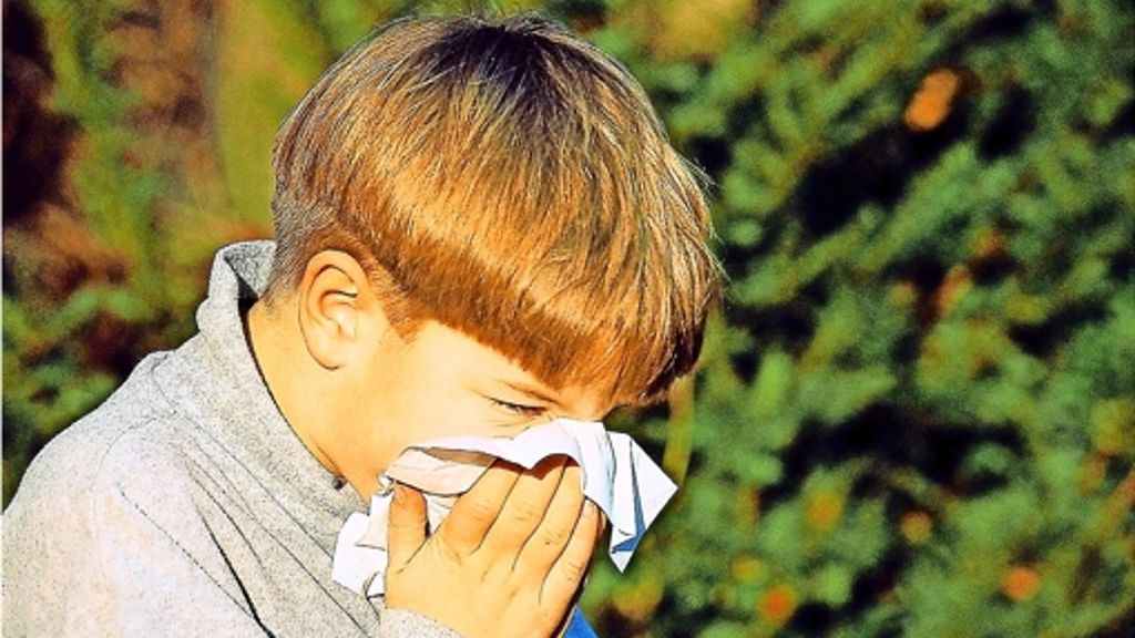 Allergien: Heuschnupfen wird zu  Asthma