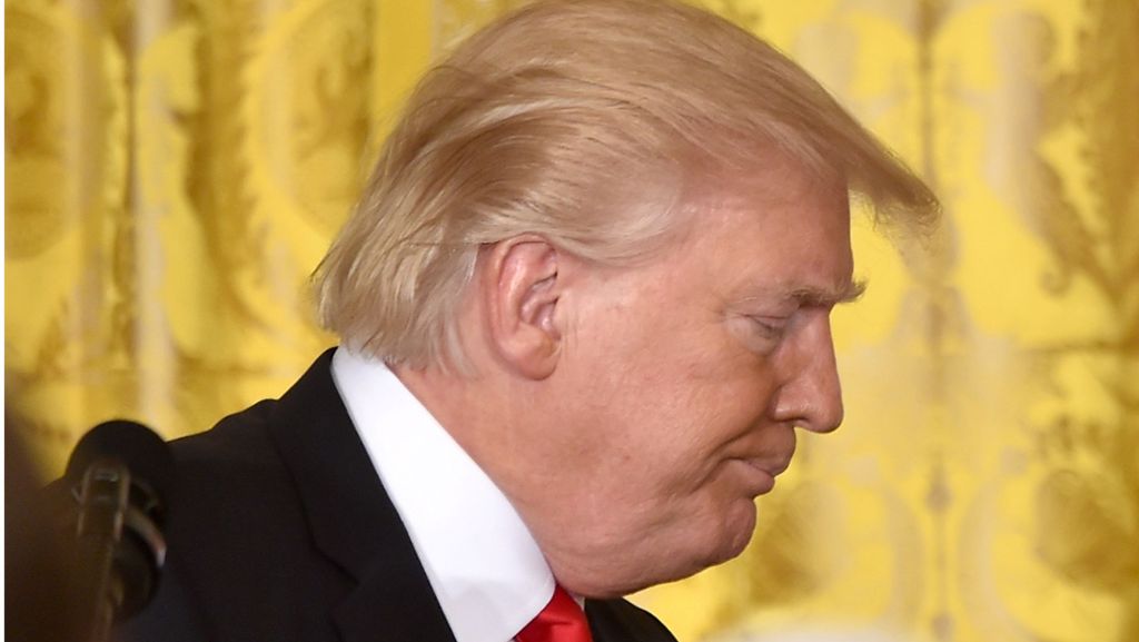 Spott im Netz über Trumps Haarschnitt: Donald, Du hast die Haare schön!