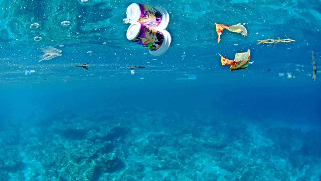 Welttag der Meere: Ozeane sind in Gefahr