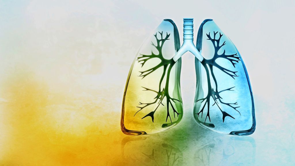 COPD: Was steckt hinter der chronischen Lungenkrankheit?