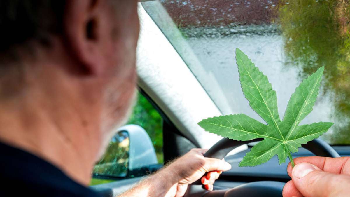Autofahren nach Cannabiskonsum: Grenzwert für Cannabis am Steuer in Sicht