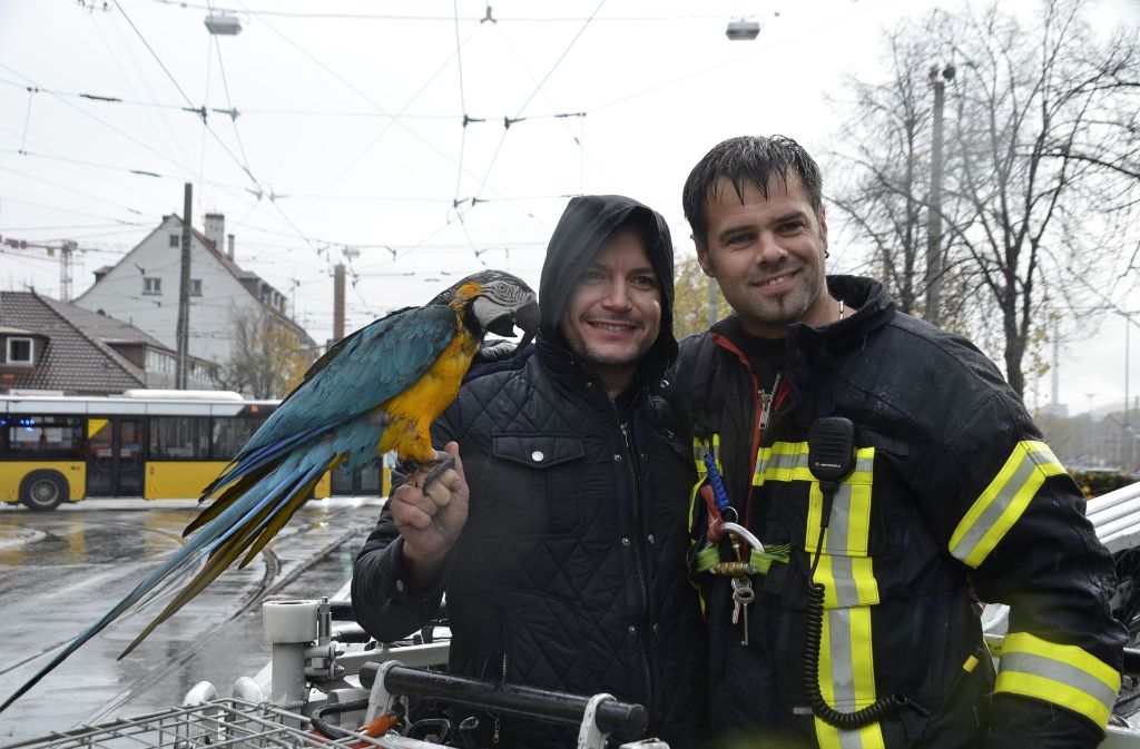 Zufriedene Gesichter nach der Rettung durch die Feuerwehr und seiner Vogeldame Gipsy: Gelbbrust-Papagei Paco ist mit seinem Tiertrainer Alessio Fochesato wieder vereint.
