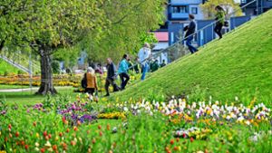 Konzept für Grünflächen: Kommt die Landesgartenschau nach Stuttgart?