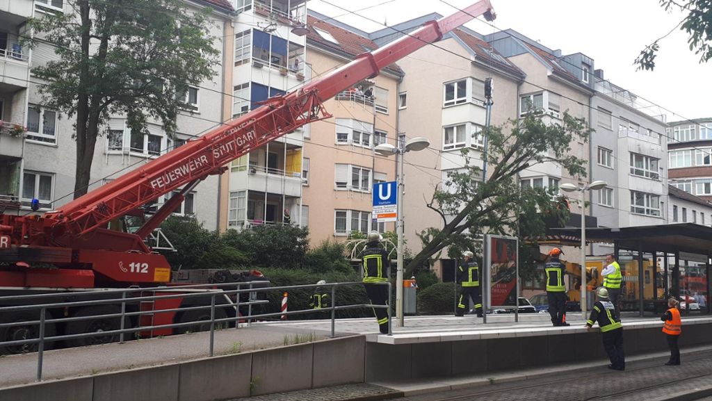 Stuttgart-West: Baum stürzt auf SSB-Oberleitung