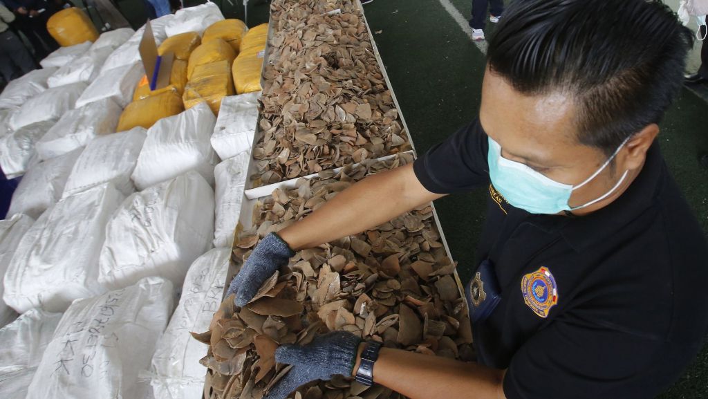 Illegaler Schmuggel von Wildtieren: Drei Tonnen exotische Schuppen in Thailand entdeckt