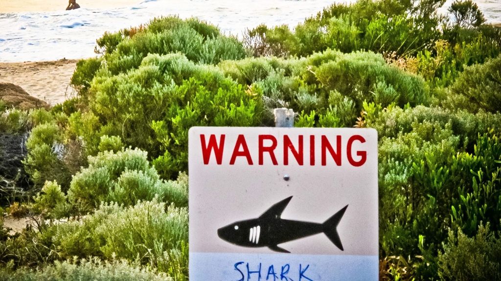Australien: 36-jähriger Surfer von Hai angegriffen