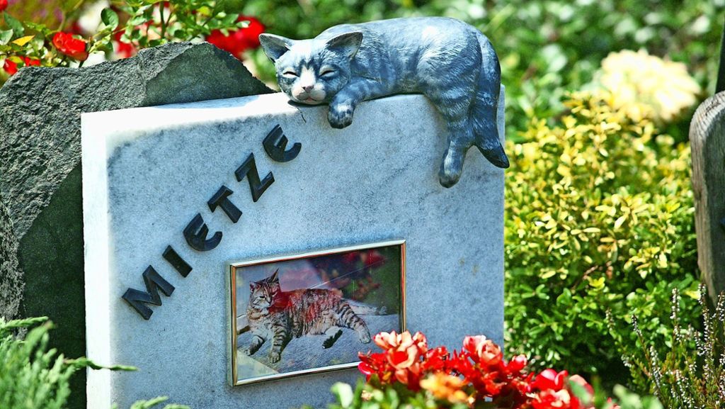 Tierfriedhof in Donzdorf?: Stadt fürchtet Zustrom von Tierbesitzern