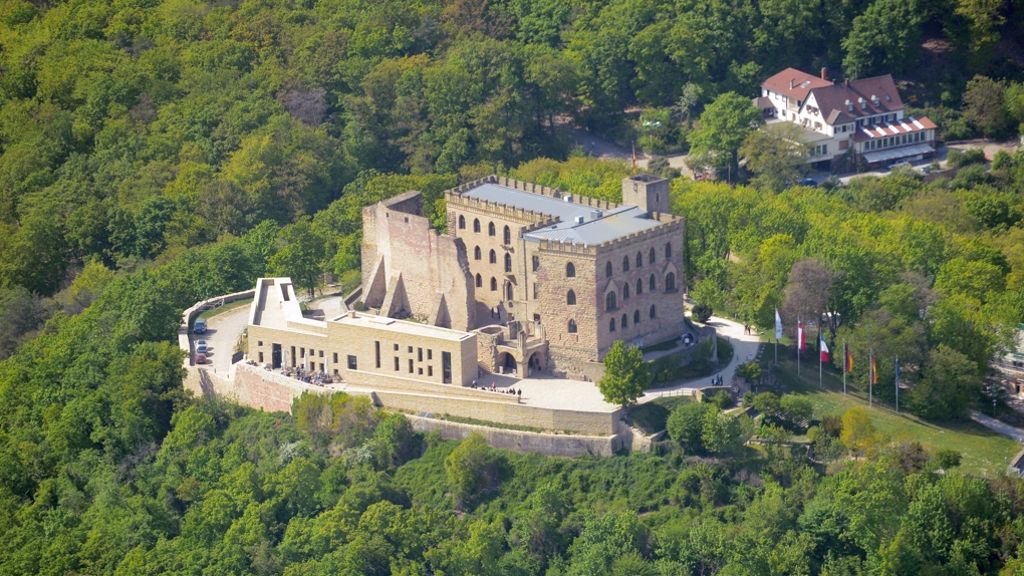 Alternative für Deutschland: AfD-Tagung auf Hambacher Schloss erhitzt Gemüter