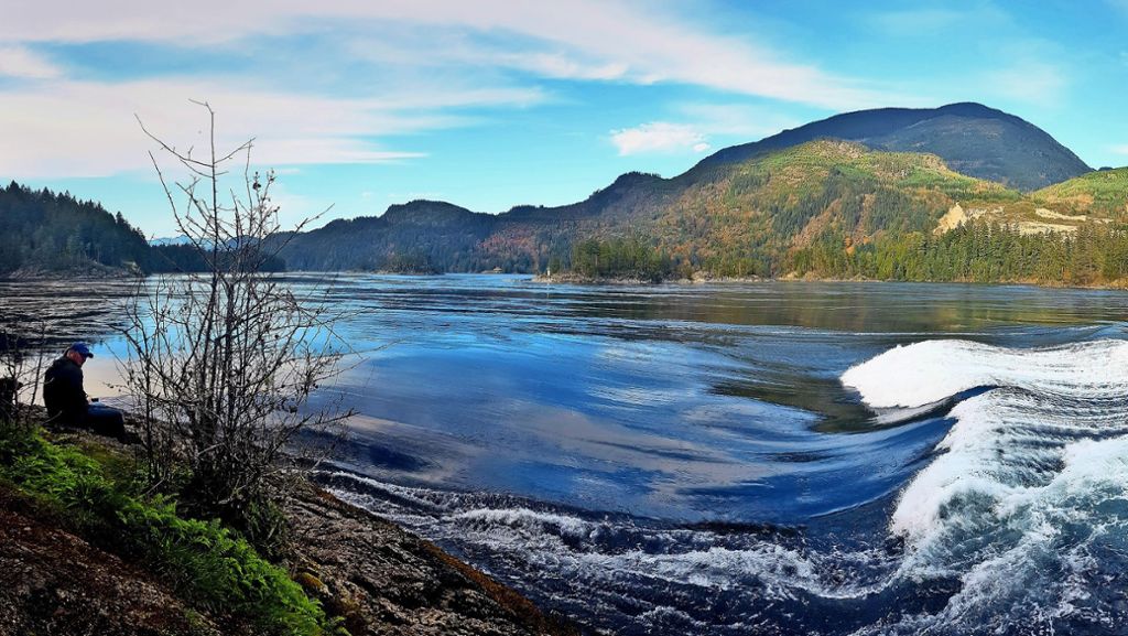 Reise nach British Columbia: Wellen, Wale, Wälder