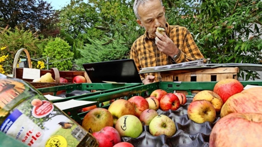 Vaihingen/Enz: Es gibt noch etwa 1000 Apfelsorten