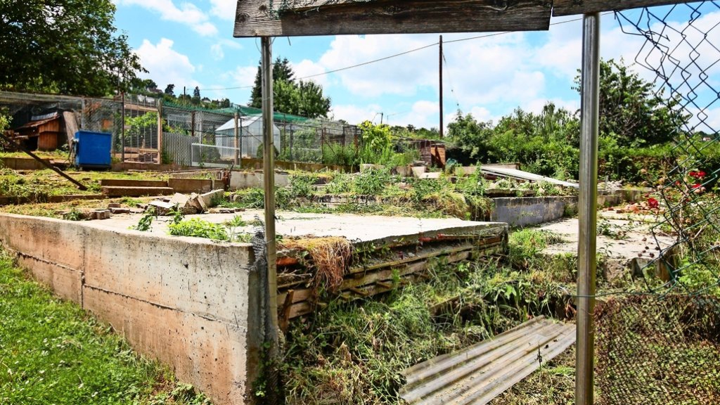 Genehmigung in Gerlingen: Bei  Züchtern beginnt der Wiederaufbau