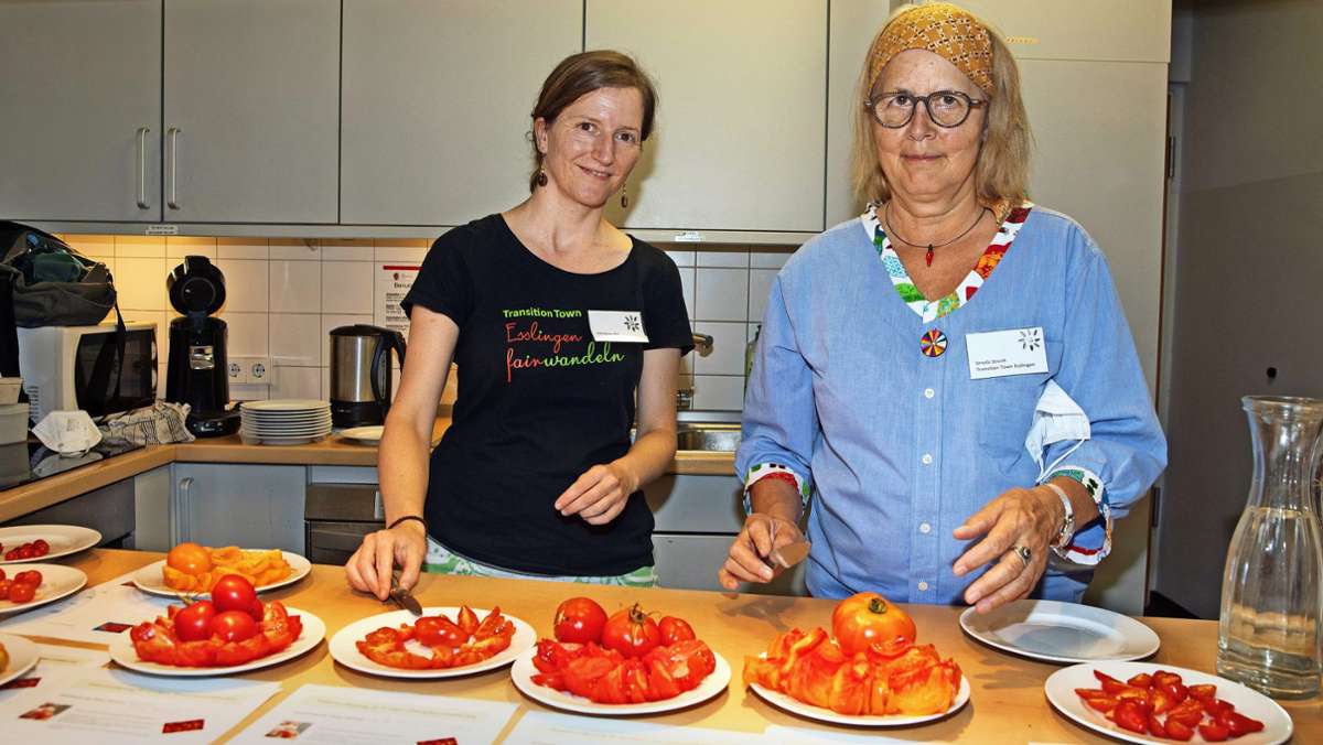 Tomaten-Test in Esslingen: Die Siegerin überzeugt mit feurigen Farben
