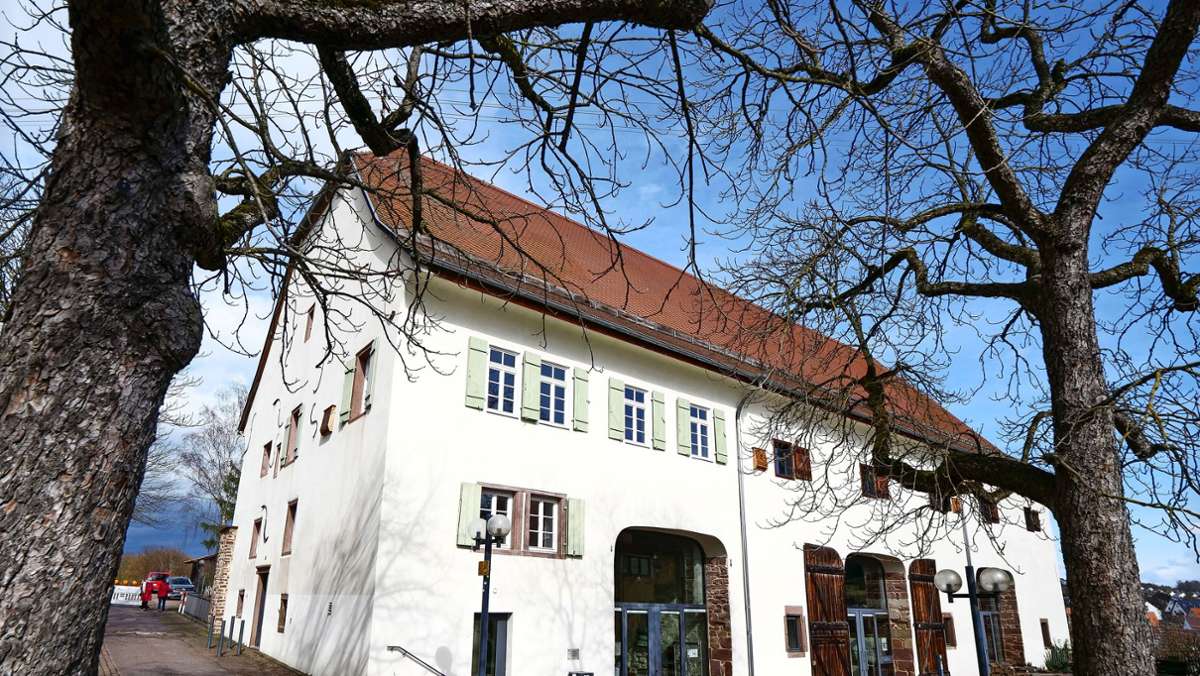 Gemüsesamen zum Ausleihen: Bücherei Heimsheim wird zur Saatgutbibliothek