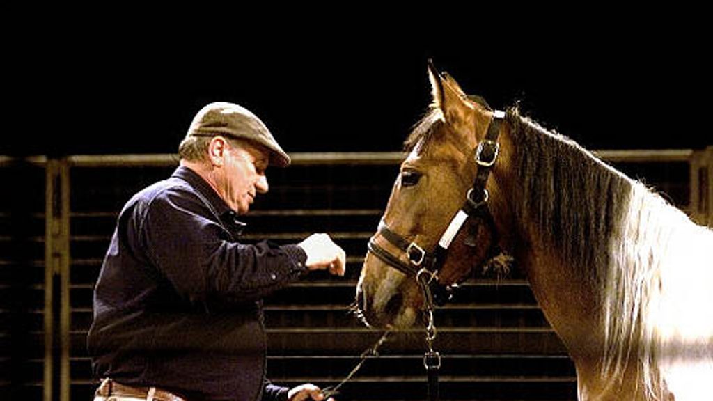 Tierkommunikation: Auch Pferde haben Körpersprache