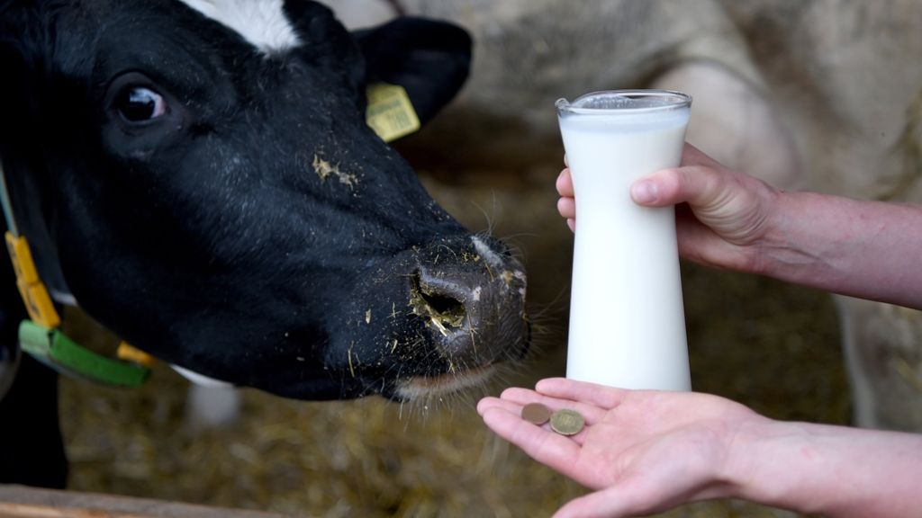 Vor dem Berliner Milchgipfel am Montag: Keine Direktbeihilfen für Milchbauern