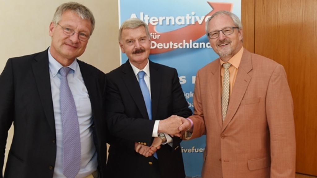 Landesparteitag in Pforzheim: Ein Trio soll die  AfD führen